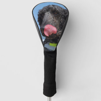 Standard Poodle Golf Head Cover