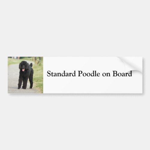 Standard Poodle on board custom bumper sticker