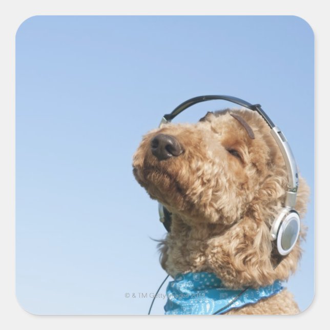 Standard Poodle Square Sticker (Front)