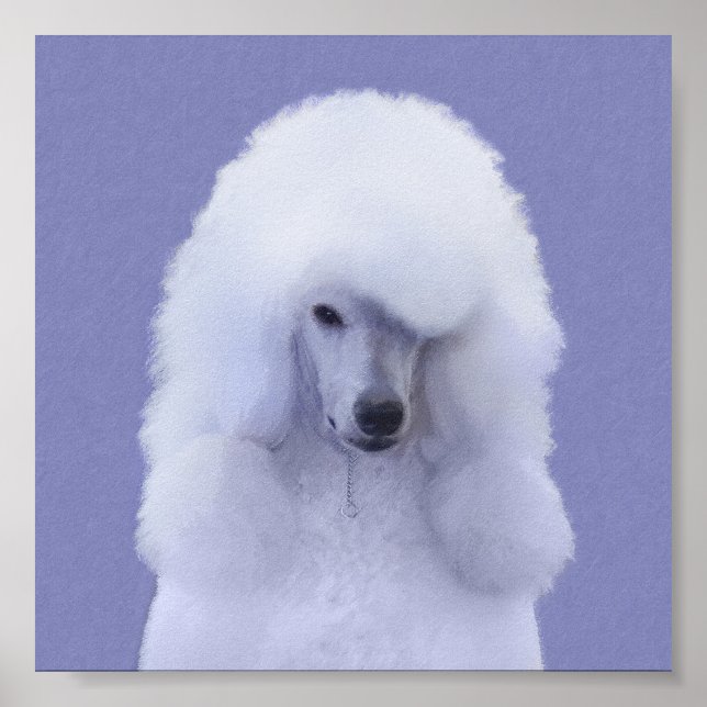Standard Poodle White Painting - Original Dog Art Poster (Front)