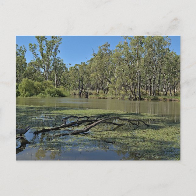 Standard postcard (Front)