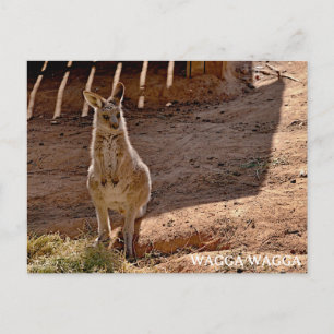 Standard postcard