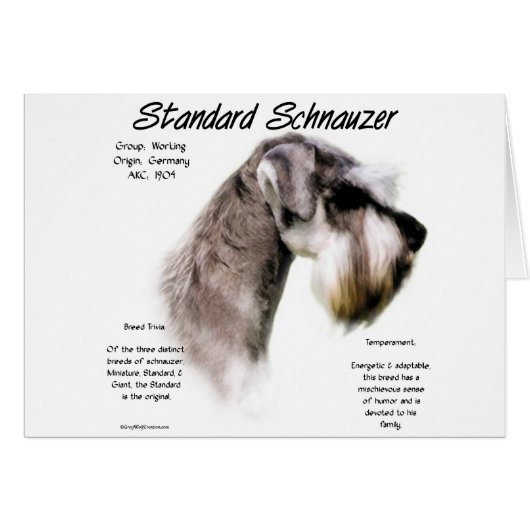 Standard Schnauzer History Design Cards (Front Horizontal)