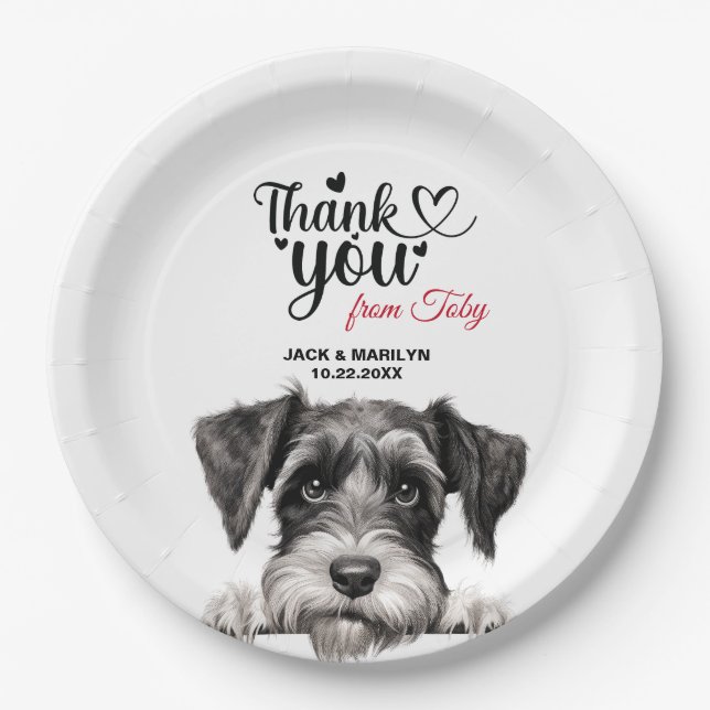 Standard Schnauzer Paper Plates (Front)