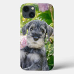 Standard Schnauzer Puppy In A Flowering Garden -  Iphone 13 Case at Zazzle