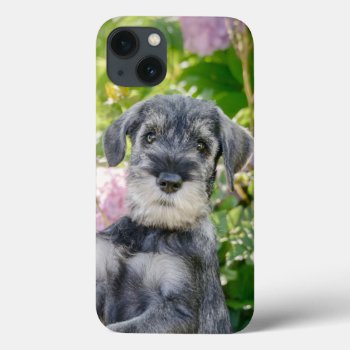 Standard Schnauzer Puppy In A Flowering Garden -  Iphone 13 Case by Kathom_Photo at Zazzle