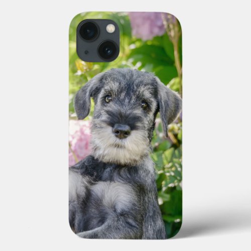 Standard Schnauzer Puppy in a Flowering Garden _  iPhone 13 Case