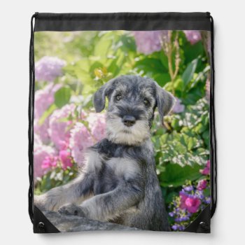 Standard Schnauzer Puppy In A Flowering Garden - Drawstring Bag by Kathom_Photo at Zazzle