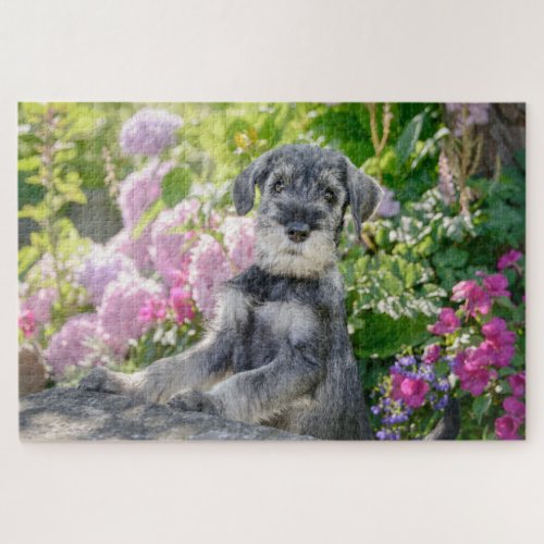 Standard Schnauzer puppy in a flowering garden Jigsaw Puzzle