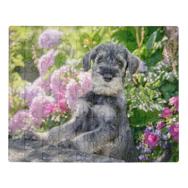 Standard Schnauzer puppy in a flowering garden Jigsaw Puzzle (Puzzle Horizontal)