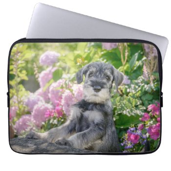 Standard Schnauzer Puppy In A Flowering Garden - Laptop Sleeve by Kathom_Photo at Zazzle