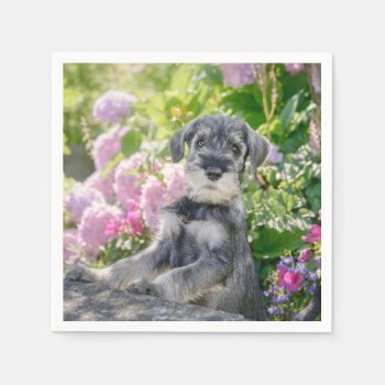 Standard Schnauzer Puppy In A Flowering Garden - Napkins by Kathom_Photo at Zazzle