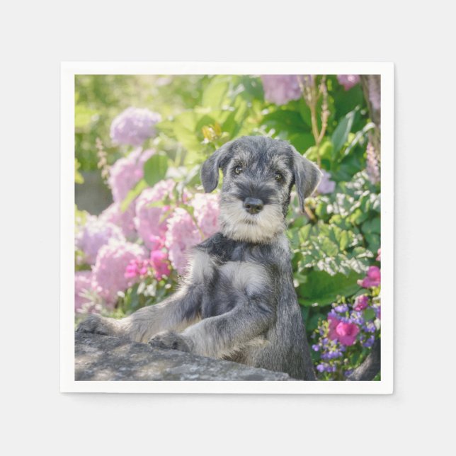 Standard Schnauzer Puppy in a Flowering Garden - Napkins (Front)