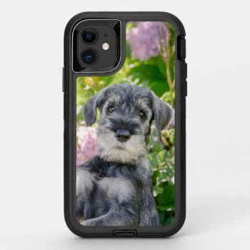 Standard Schnauzer Puppy In A Flowering Garden - Otterbox Defender Iphone 11 Case by Kathom_Photo at Zazzle