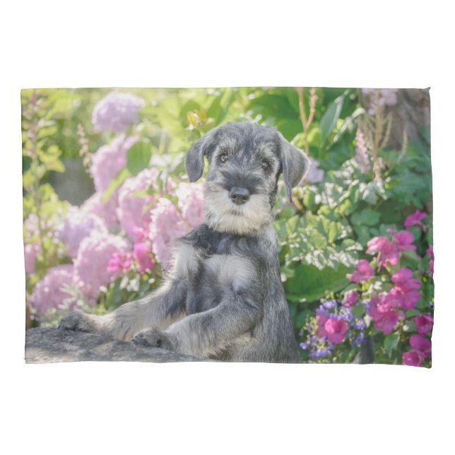 Standard Schnauzer Puppy in a Flowering Garden - Pillow Case (Front)