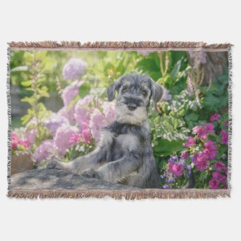 Standard Schnauzer Puppy In A Flowering Garden - Throw Blanket by Kathom_Photo at Zazzle