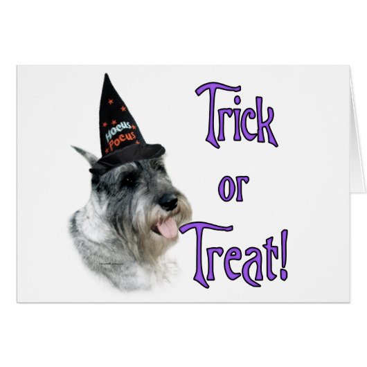 Standard Schnauzer Trick Cards (Front Horizontal)