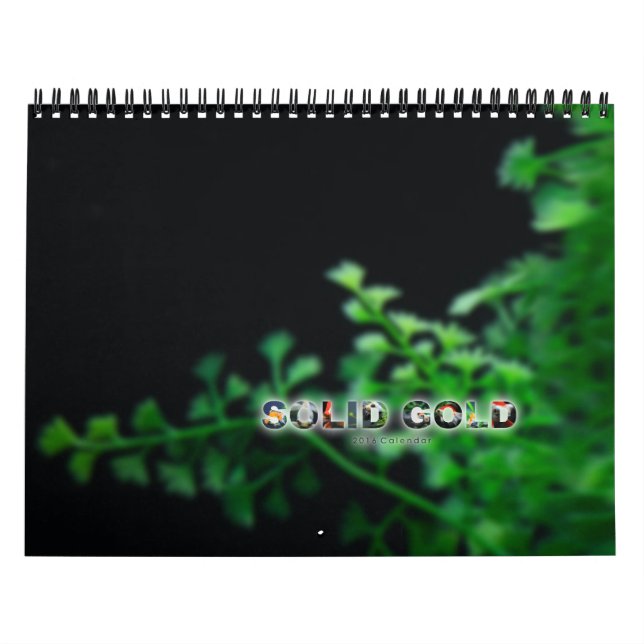 Standard Size 2016 SOLID GOLD Goldfish Calendar (Cover)