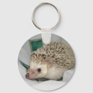 Standard Snow hh Keychain