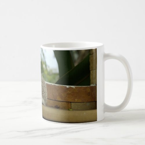 Standard Wrap Around mug