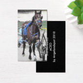 Standardbred (Desk)