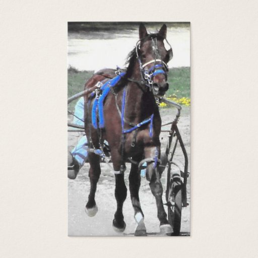 Customizable Standardbred Business Card Templates