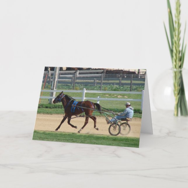 Standardbred Card (Front)