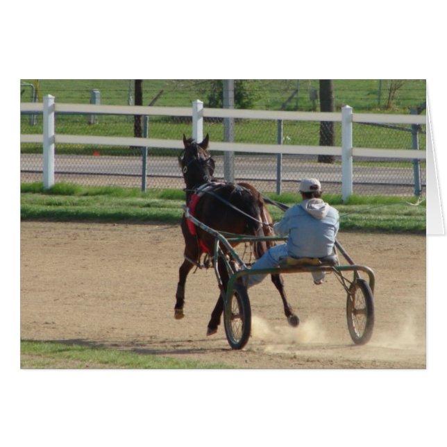 Standardbred Cards (Front Horizontal)