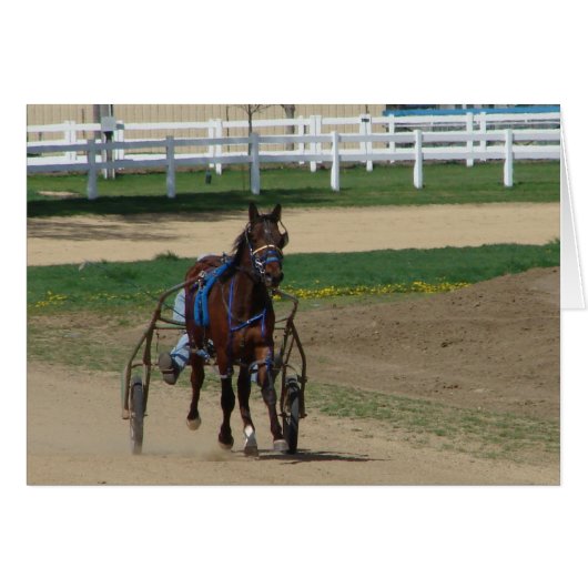 Standardbred Cards (Front Horizontal)