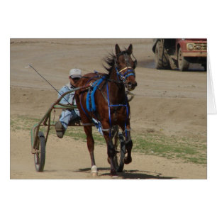 Standardbred Cards