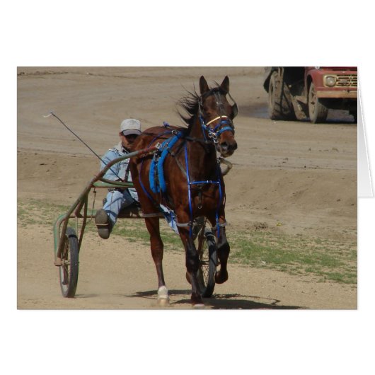 Standardbred Cards (Front Horizontal)