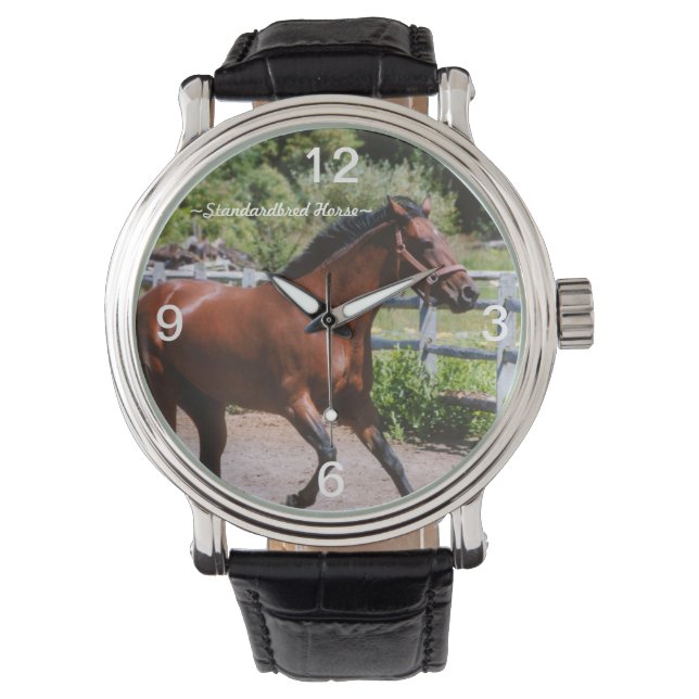 Standardbred horse galloping Watch (Front)