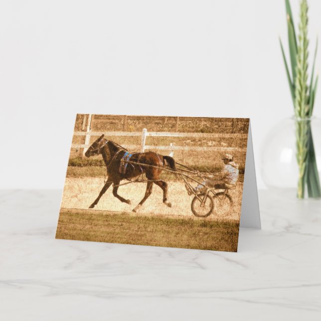 Standardbred Race Horse Card (Front)