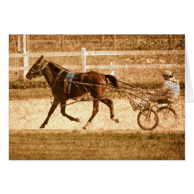 Standardbred Race Horse Cards (Front Horizontal)