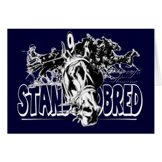 Standardbred Racing Cards (Front Horizontal)