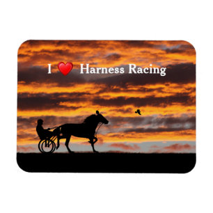 Standardbred Trotting Racehorse Flexible Magnet