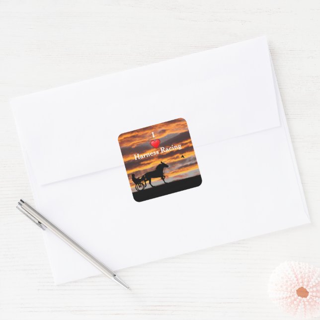 Standardbred Trotting Racehorse Stickers (Envelope)