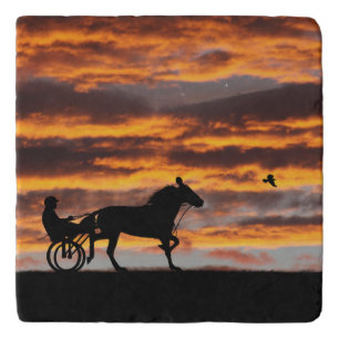 Standardbred Trotting Racehorse Trivet