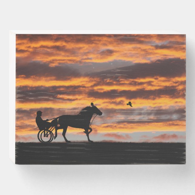 Standardbred Trotting Racehorse Wood Box Sign (Front Horizontal)