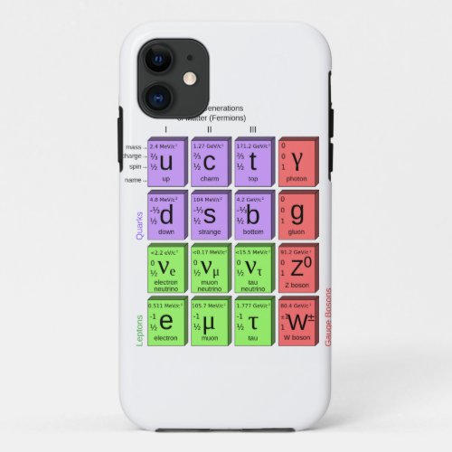 Standart model of elementary particles iPhone 11 case