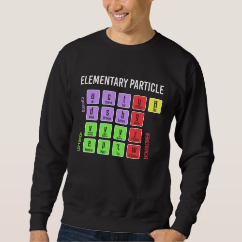 Standart Model of Elementary Particles Physics Sweatshirt