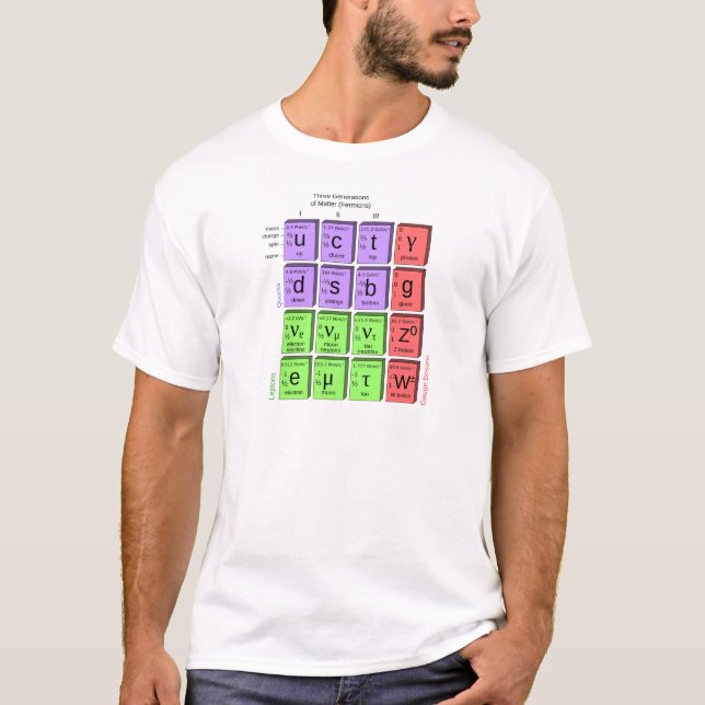 Standart model of elementary particles T-Shirt (Front)