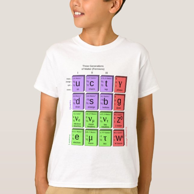 Standart model of elementary particles T-Shirt (Front)