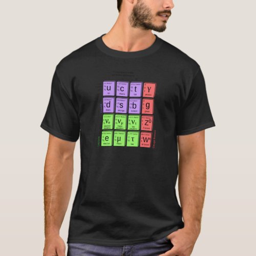 Standart model of elementary particles T_Shirt