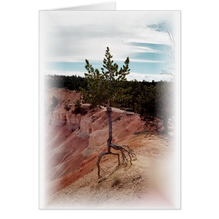 Standing Alone at Bryce Canyon Greeting Card