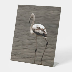 Standing Alone Juvenile Flamingo Art Pedestal Sign