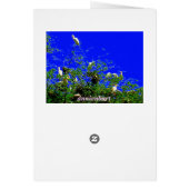 Standing Around Cards (Back)