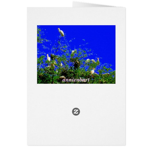 Standing Around Cards (Back)
