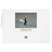 Standing Bear Lake Single Mallard (Back Horizontal)