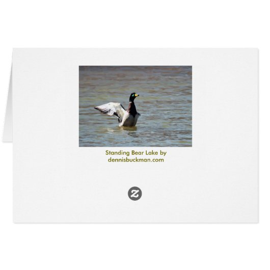 Standing Bear Lake Single Mallard (Back Horizontal)